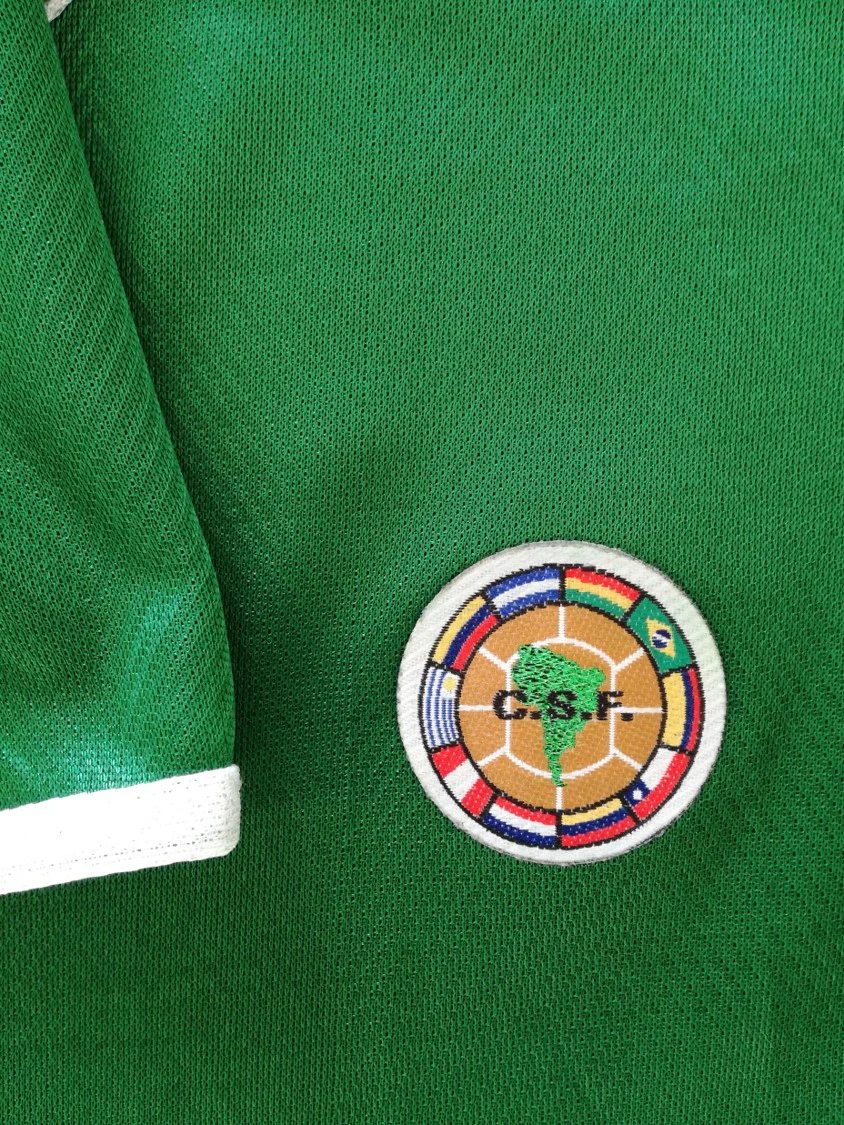 1999/00 Palmeiras Home Football Shirt (Asprilla) #9 (L) - Image 4