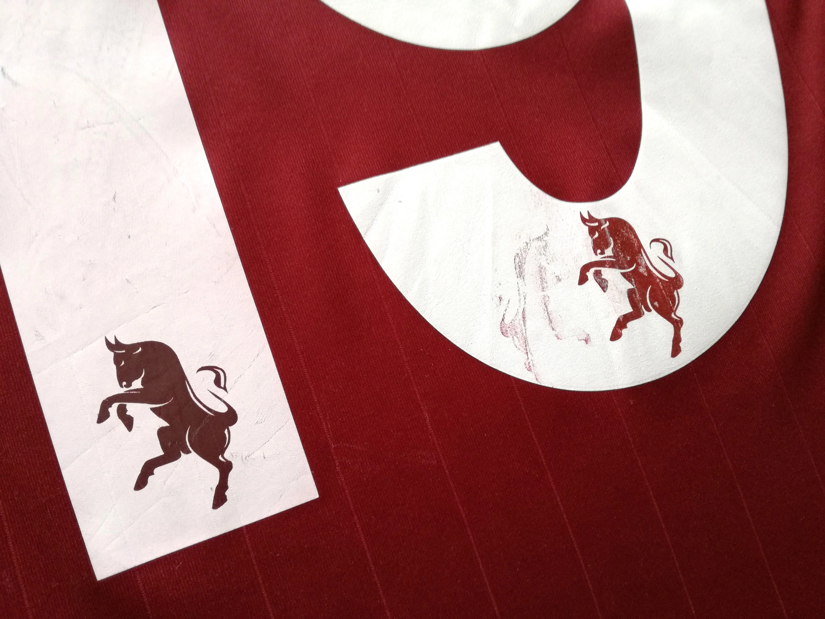 2007/08 Torino Home Football Shirt Diana #19 (L) - Image 5
