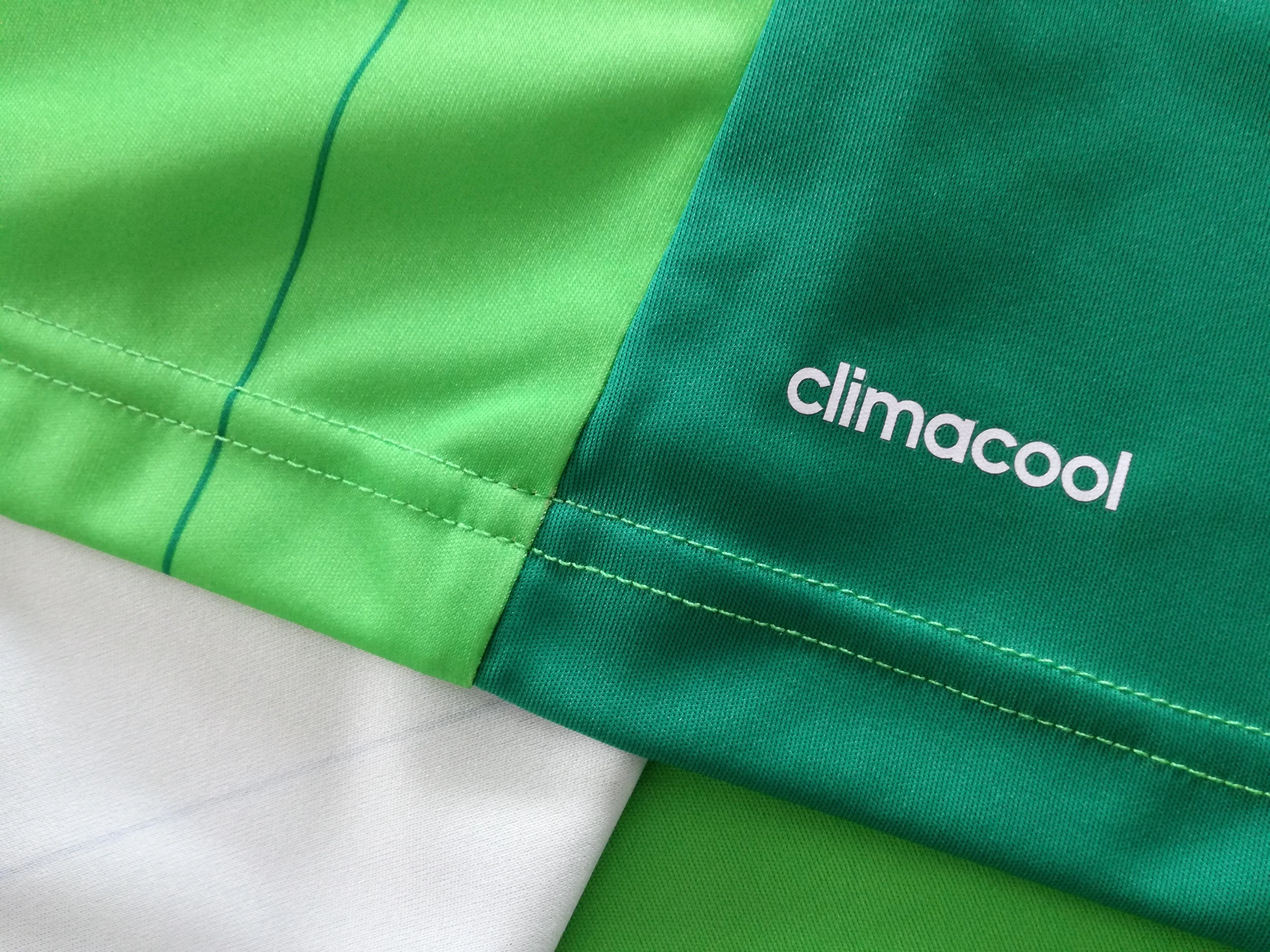 2014/15 Nigeria Home Football Shirt (L) *BNWT* - Image 5