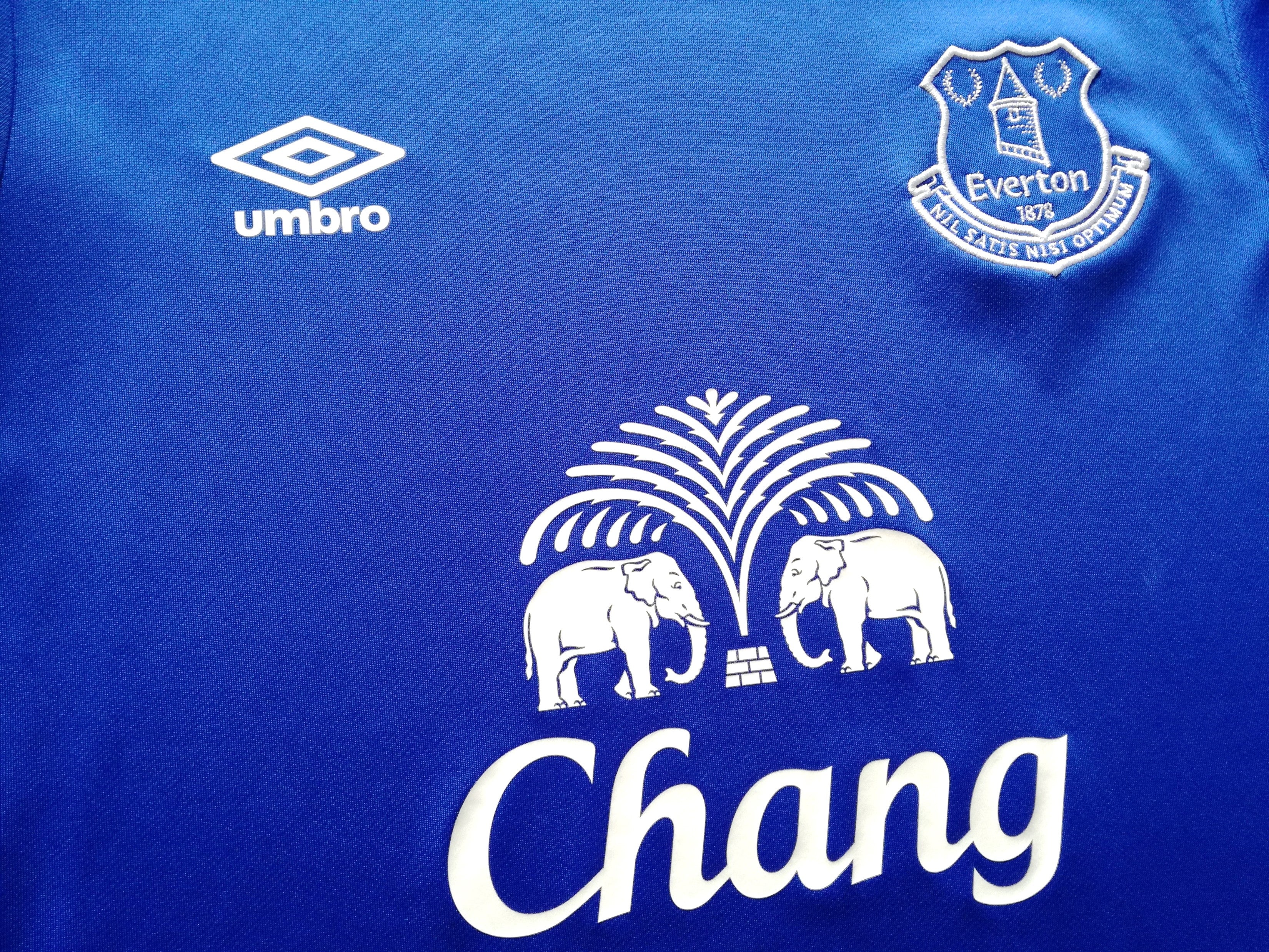 2016/17 Everton Football Training Shirt (S) - Image 3
