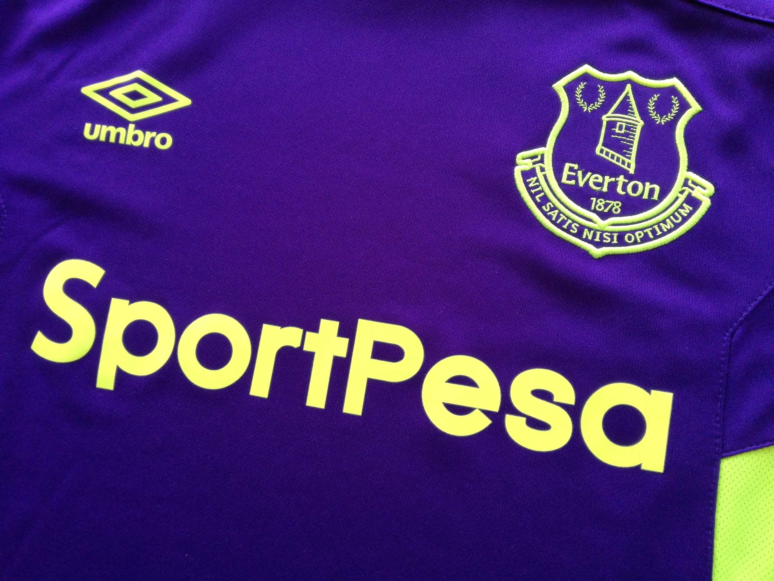 2017/18 Everton Football Training Shirt (M) - Image 3