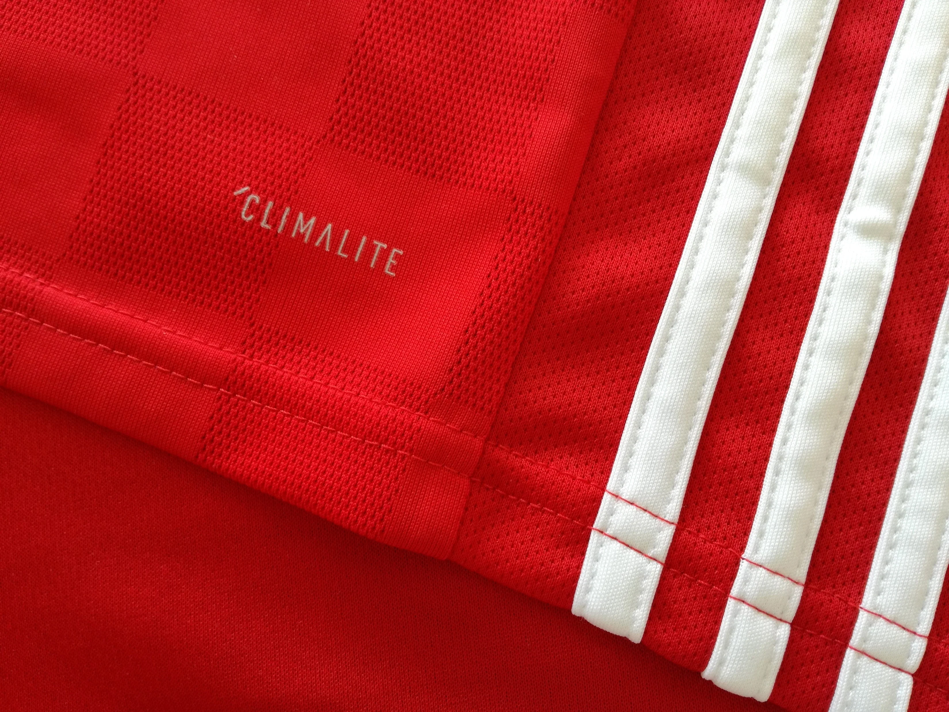 2018/19 Egypt Home Football Shirt (L) - Image 6